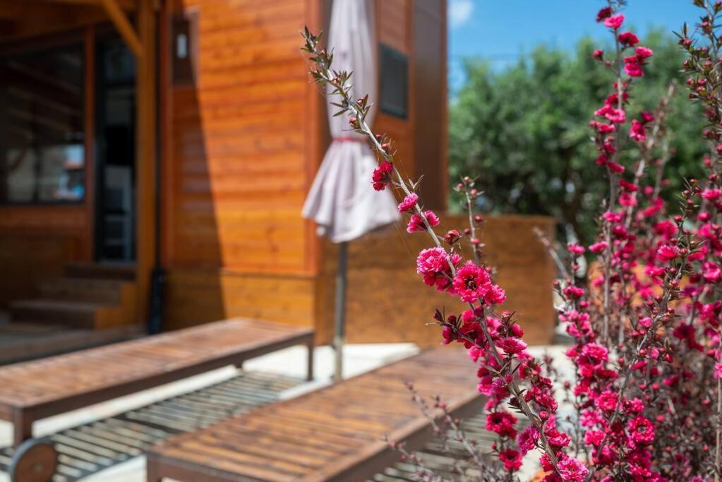 Tiny Among The Olives Chalet Iraklio